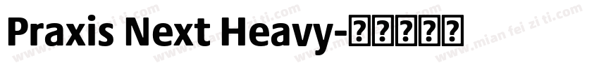 Praxis Next Heavy字体转换
